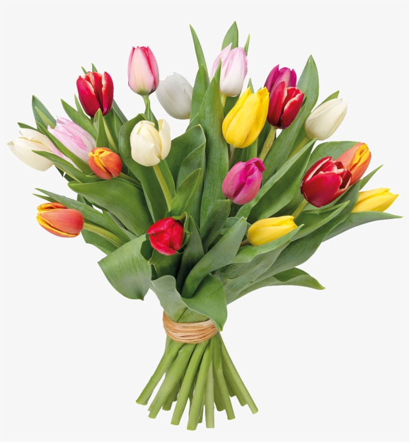 Romantic Hand Pot Flower Cartoon Transparent - Ramos De Flores De Tulipanes, transparent png download
