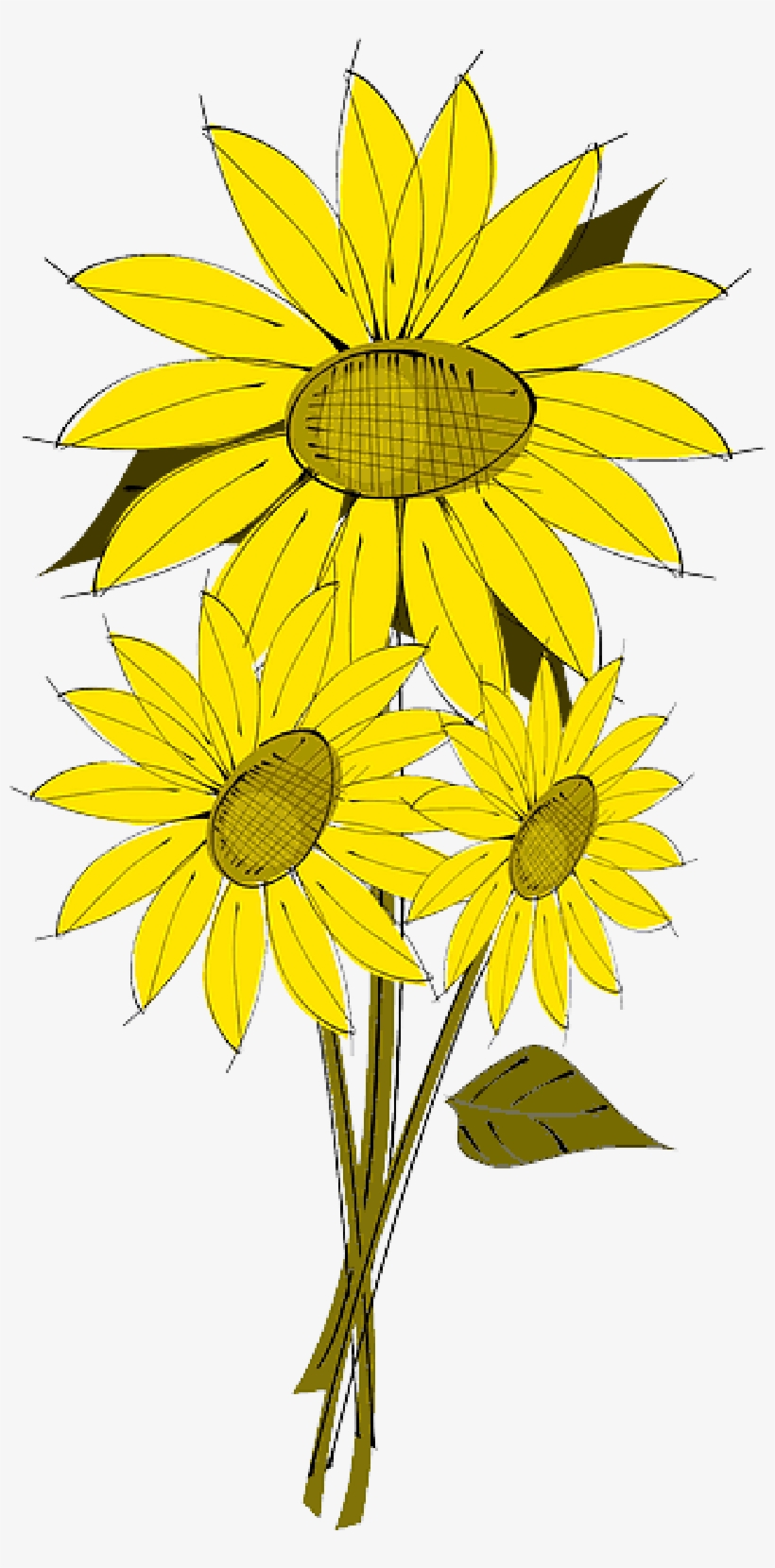 Mb Image/png - Sunflower Flowers Clip Art, transparent png download