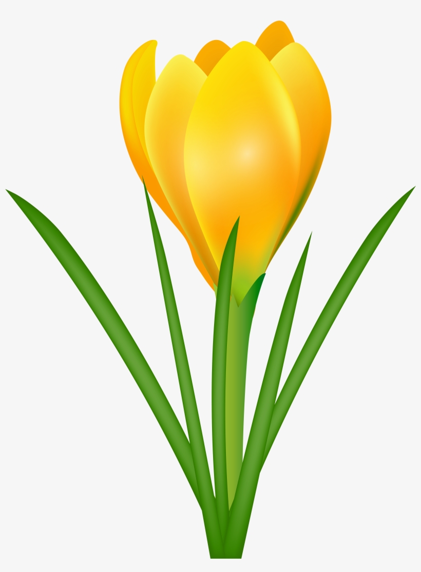 Yellow Transparent Png Clip Art Image Gallery, transparent png download