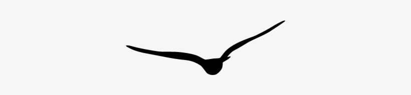 Gráficos - Hipster - Logo Hipster Tumblr Png, transparent png download