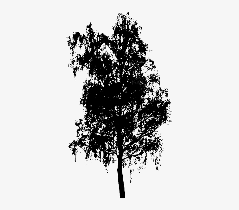 Tree, Bush, Nature, Leaves, Trunk, Silhouette - Die Drachen Von Estya, transparent png download