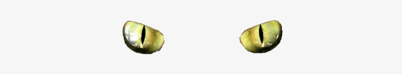 Transparent Hipster Tumblr, Tumblr N3txwqdkvj1twlshmo1 - Amber, transparent png download