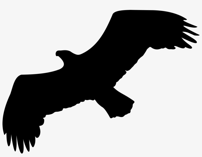 Transparent Eagle Silhouette Png, transparent png download