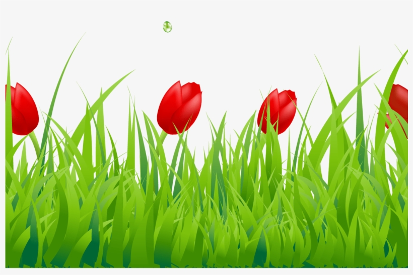 Spring Clipart Spring Grass Pencil And In Color Spring - Still Life Fashion Wall Stickers Plane Wall Stickers, transparent png download