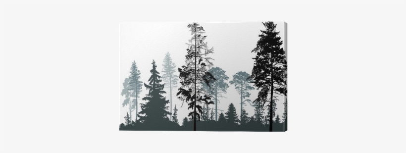 Pine Grey Forest Silhouettes Isolated On White Canvas - Misty Pine Forest Silhouette, transparent png download