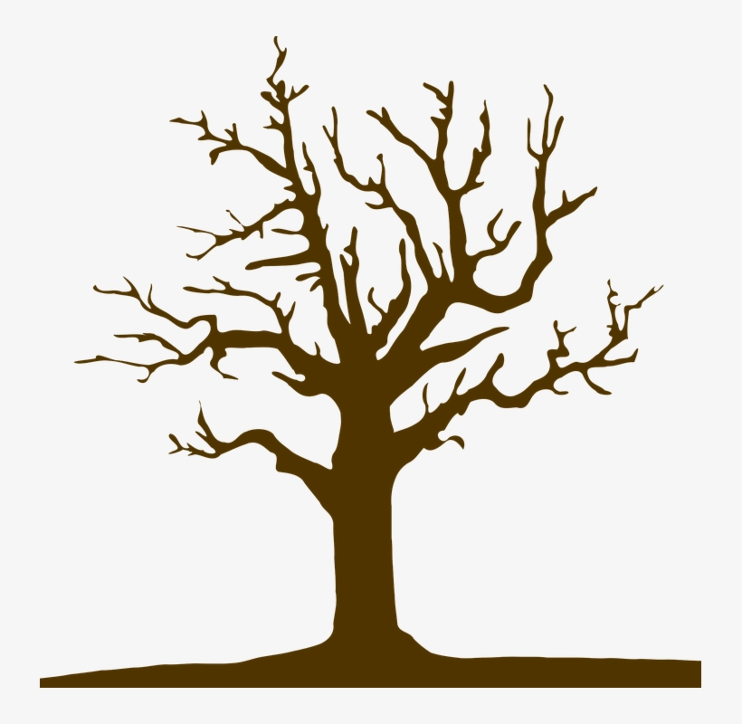 Tree, Logo, Nature, Design, Symbol, Icon, Silhouette - โลโก้ ต้นไม้ Png, transparent png download