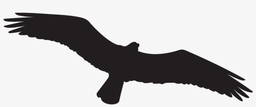 Vector Free Stock Osprey Silhouette At Getdrawings - Osprey Silhouette, transparent png download