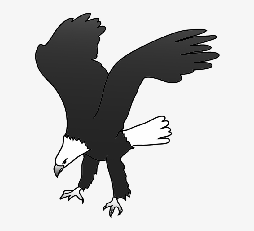 Eagle Silhouette Clip Art Transprent Png Free - Eagle, transparent png download