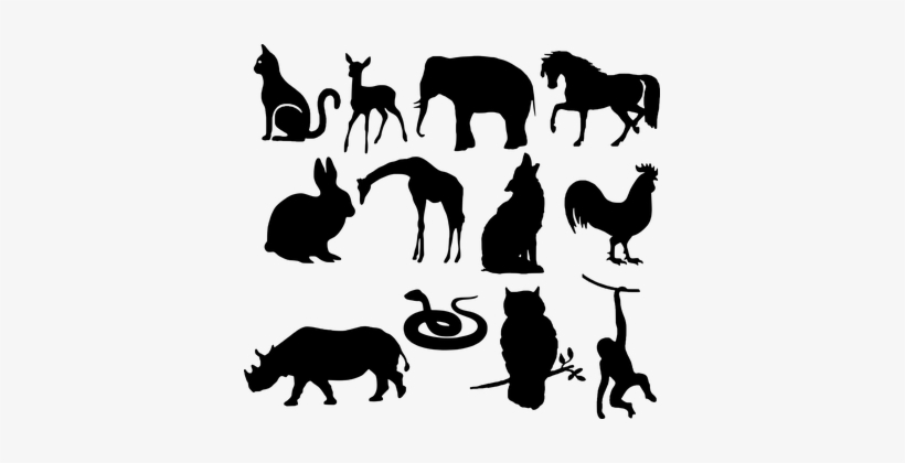 Animals, Silhouette, Wolf, Elephant - World Veterinary Day 2018, transparent png download
