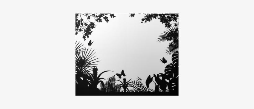 Forest, transparent png download