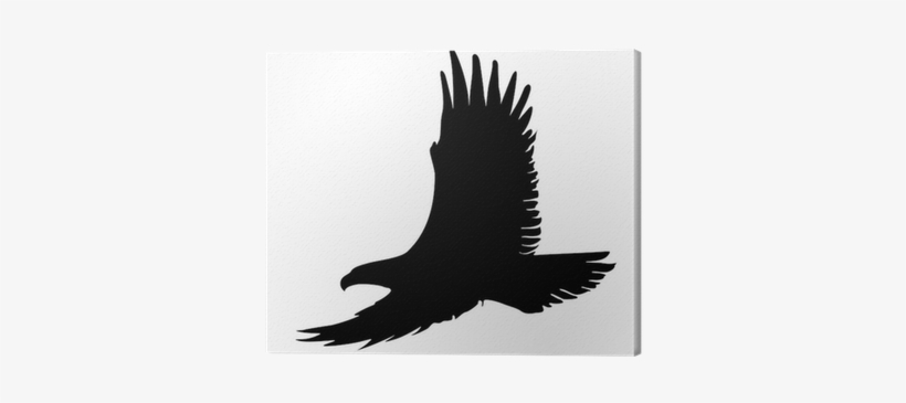 Aguia Tattoo Silhueta, transparent png download