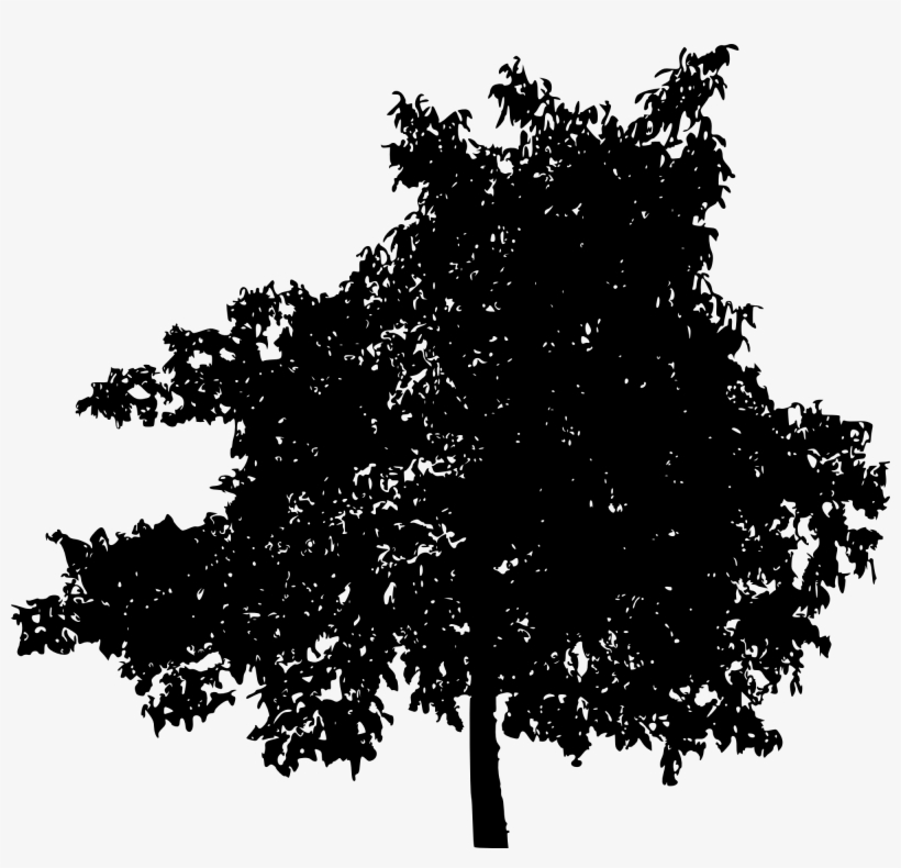 Trees Silhouette Png - Oak Tree Silhouette Png, transparent png download