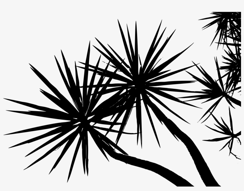 This Free Icons Png Design Of Overhead Trees Silhouette, transparent png download