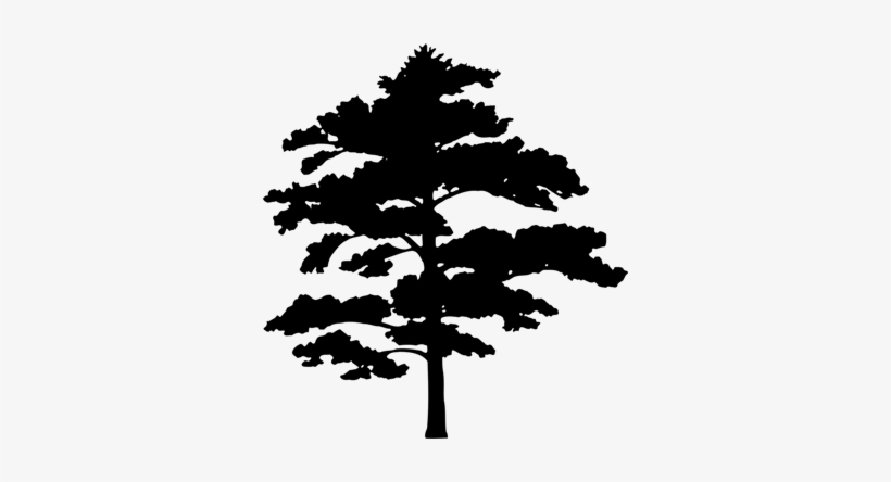Tree Silhouette By - Sausage, transparent png download