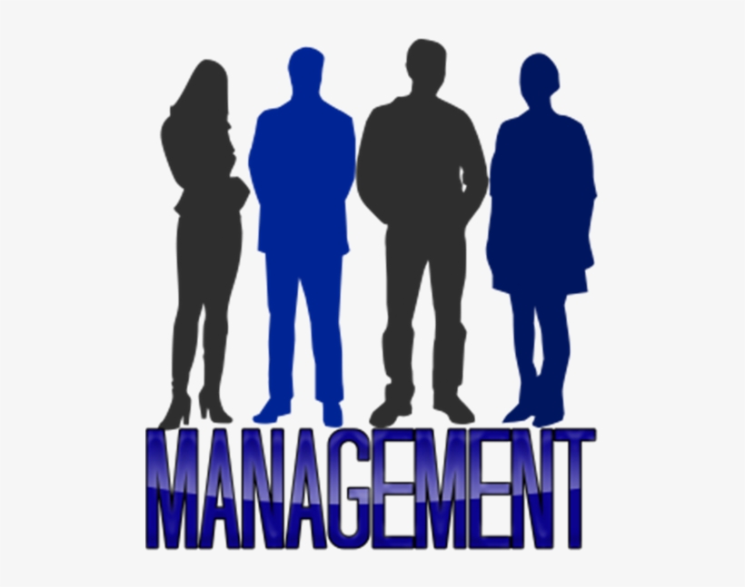 Human Resource Management Specialists, transparent png download