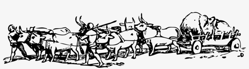 Ox Cattle Bullock Cart Kankrej - Clip Art, transparent png download