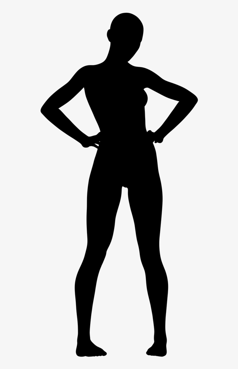 Marvel Movie Collection Maria Hill, transparent png download