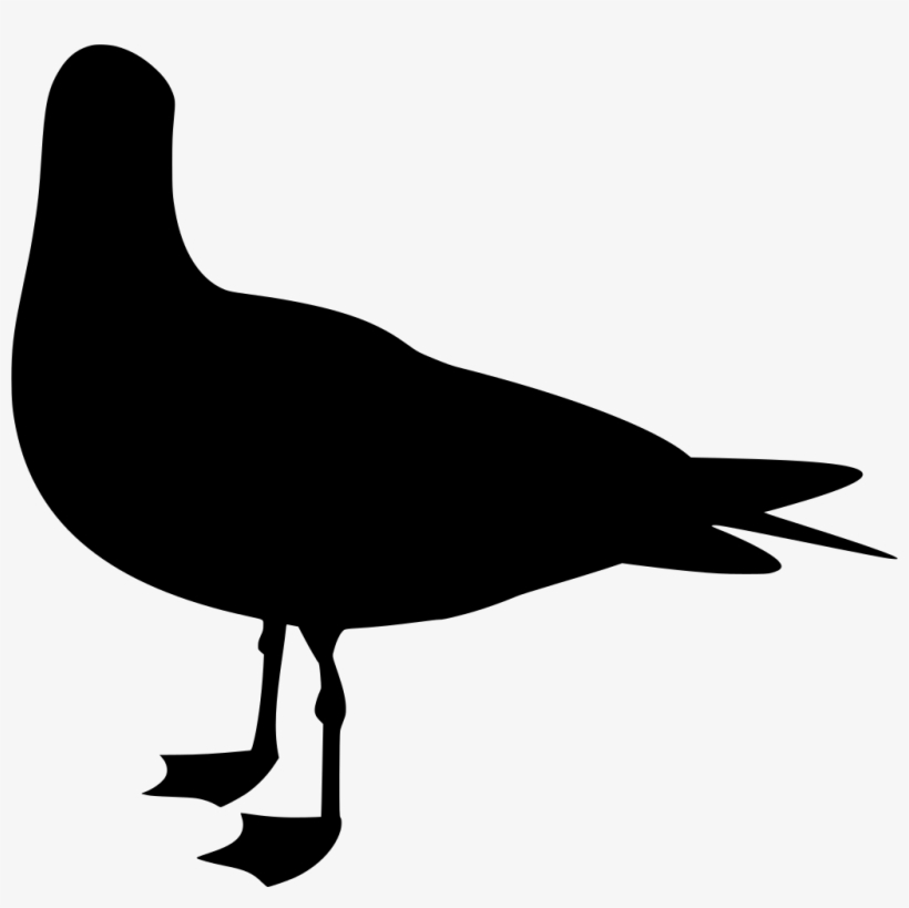 Download Png - Gulls, transparent png download