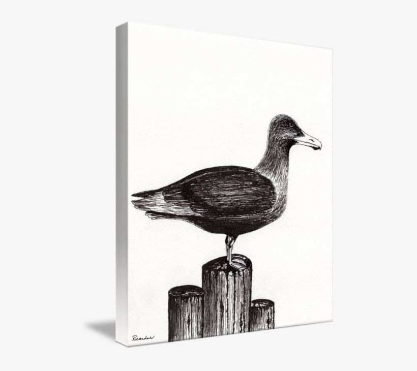 Seagull Portrait On Piling - Openclipart, transparent png download