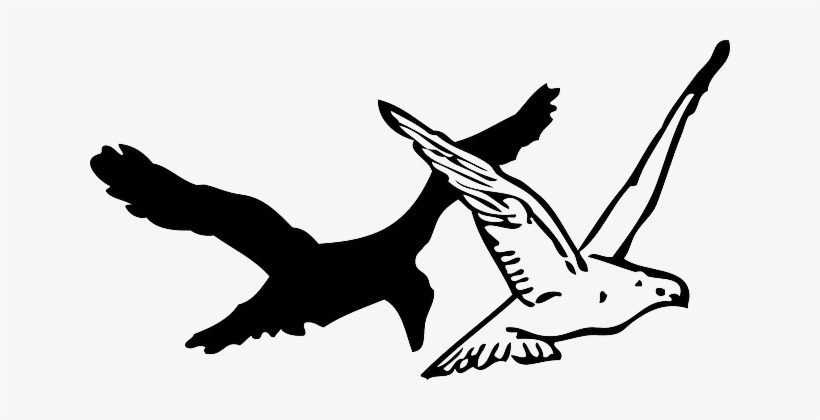 Sketch, Silhouette, Cartoon, Bird, Dove, Crow - Flyng Crow Clipart, transparent png download