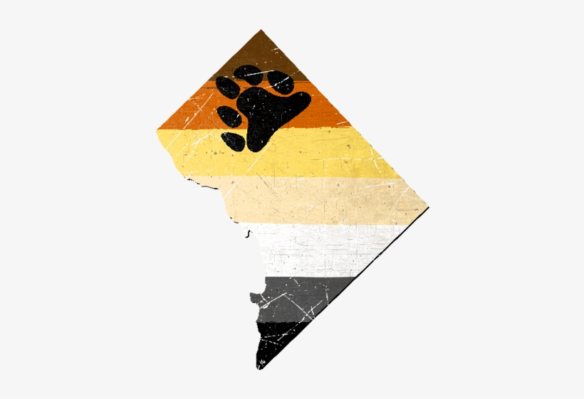Washington Dc Silhouette Bear Pride Flag - Rainbow Flag, transparent png download