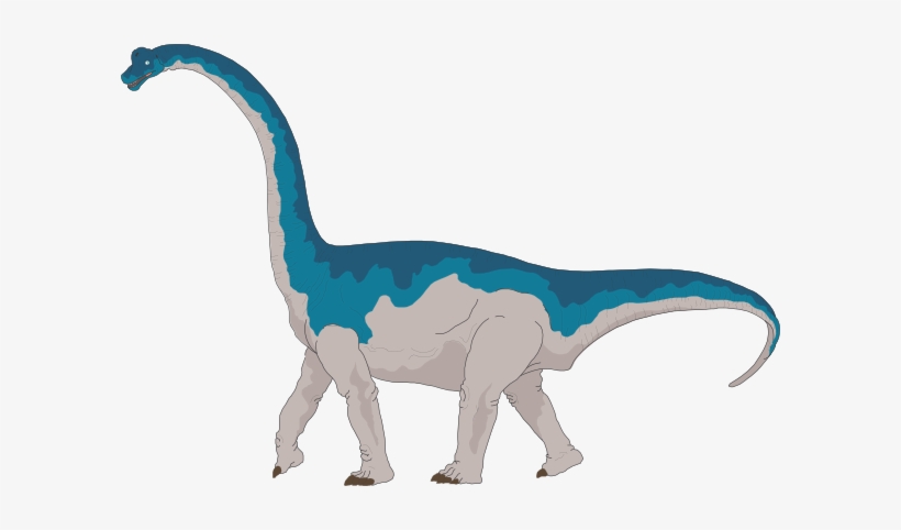 Pin By Kayla Fox On Dinosaurs Silhouettes, Vectors, - Brachiosaurus Clipart, transparent png download