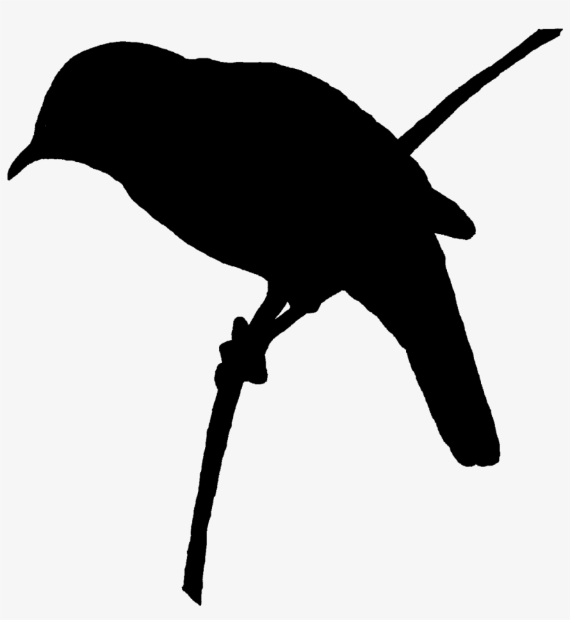 Digital Bird Silhouette Download - Perching Bird, transparent png download