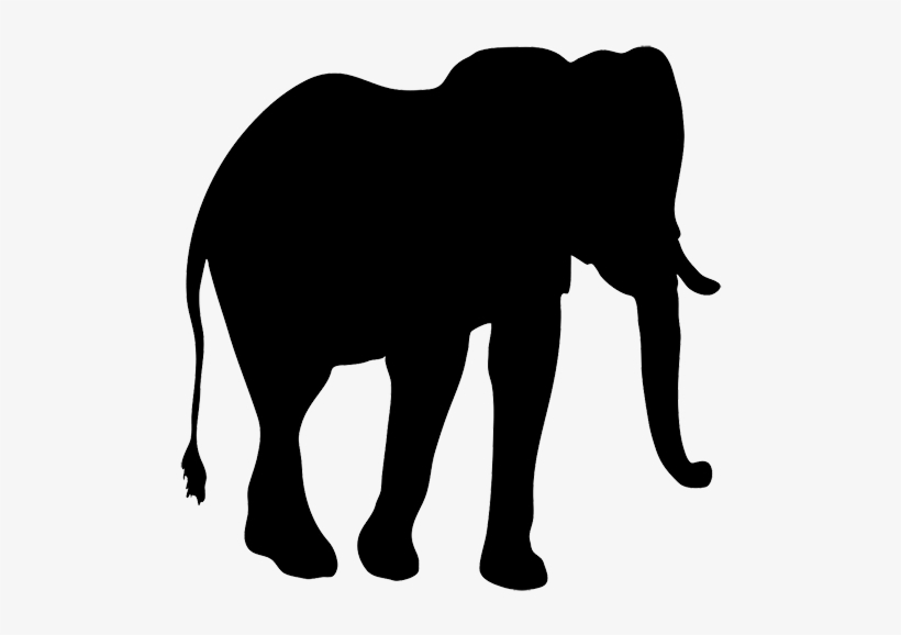 Silhouette Clip Art Of Elephant, Elephant Silhouette - Indian Elephant, transparent png download