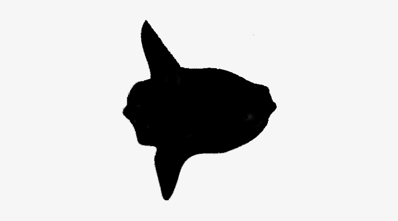 Splendid Mola - Mola Mola Fish Silhouette, transparent png download
