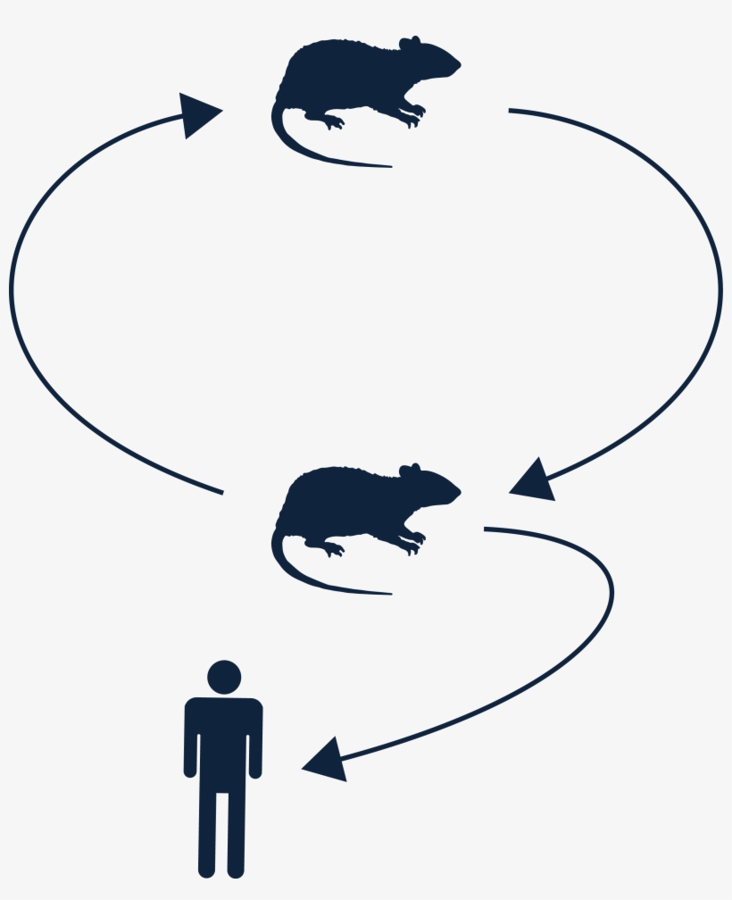 03 Pm 16923 Microscope White 1/19/2016, transparent png download