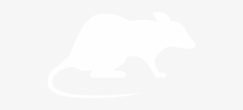 All Pests - Rat, transparent png download