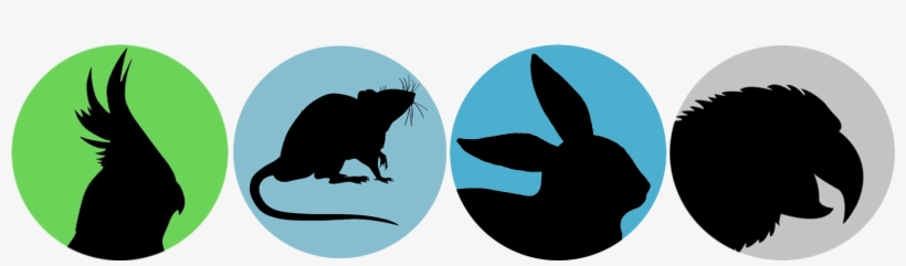 Put Me On The Waiting List - Rat, transparent png download