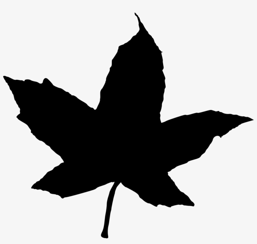 15 Leaf Silhouette - Portable Network Graphics, transparent png download