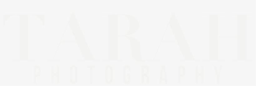 Bay Area Family Law Group, transparent png download