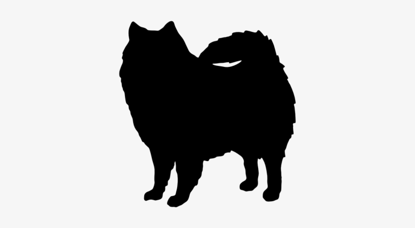 American Eskimo - American Eskimo Dog Silhouette Png, transparent png download