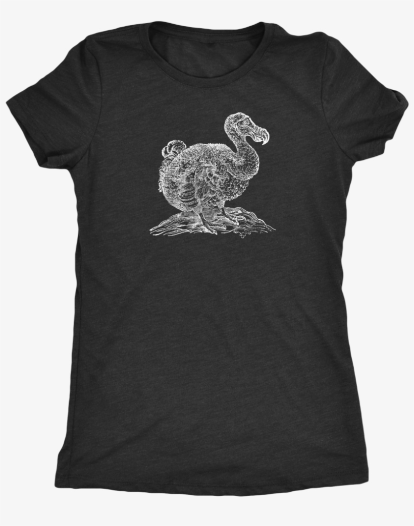 Women's Coast Up Triblend - Charcoal-black Triblend, transparent png download