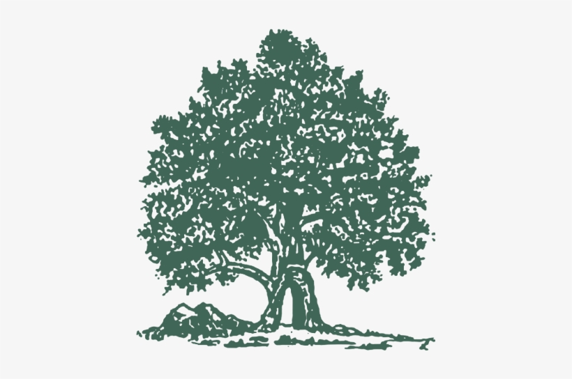 Illustration, transparent png download