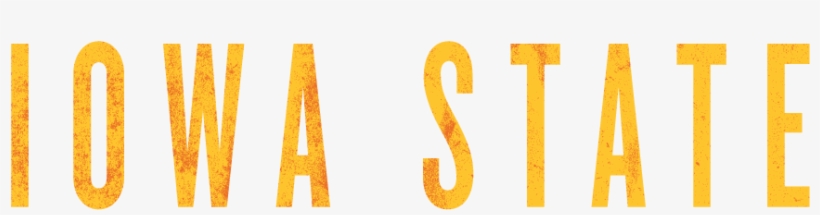 Orange, transparent png download