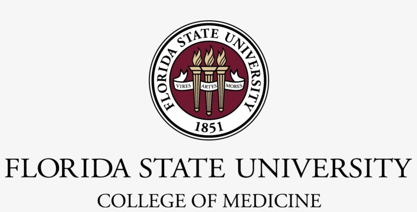 Faculty - Florida State University College Of Medicine, transparent png download