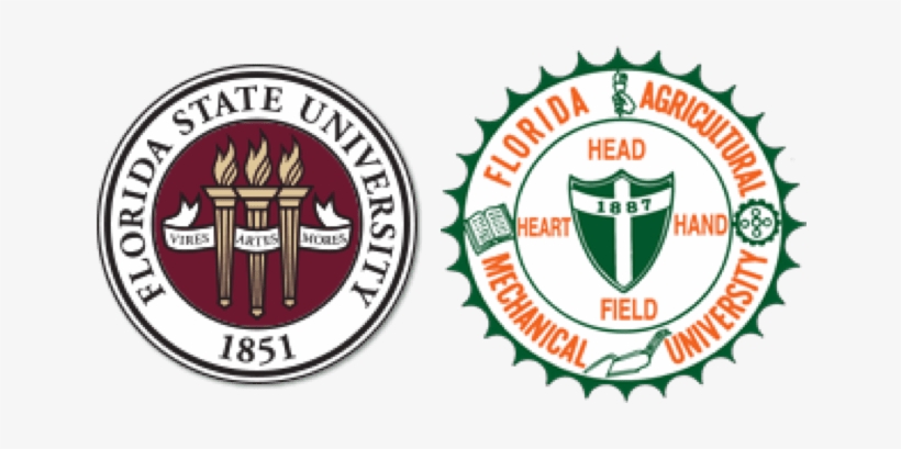 Tenure Track Faculty Position In Chemical And Biomedical - Famu Fsu College Of Engineering Logo, transparent png download