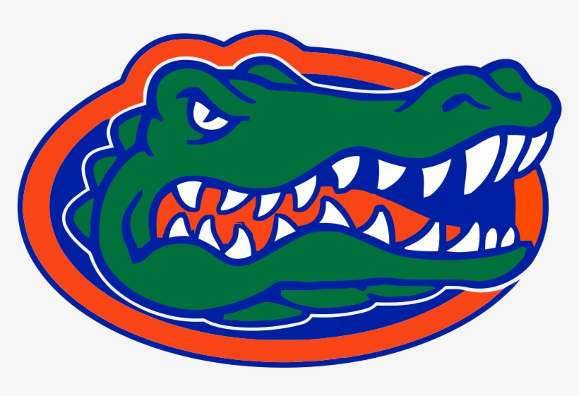 Florida Gators Logo - Florida Gator, transparent png download