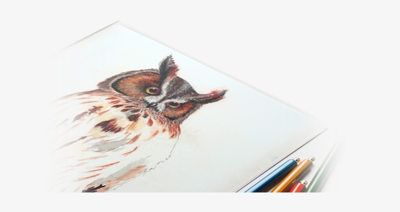 Illustration - Graphic Design, transparent png download