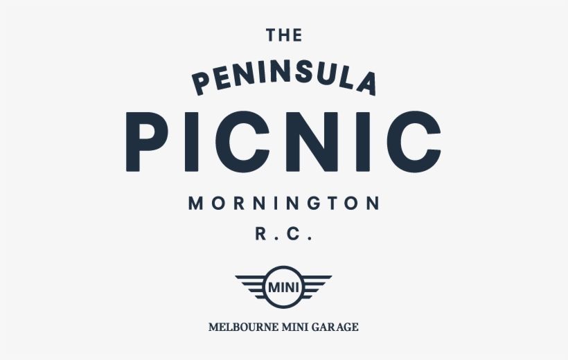 Penpic Mini Logo - Genuine Mini Lanyard B95.38.0.004.174, transparent png download