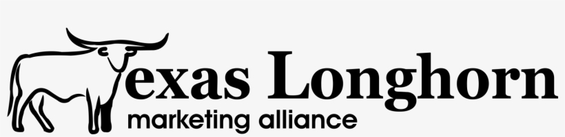 Top Of The West Texas Longhorn Association - Light Shift: 21 Simple Ways To Make Your Days Interesting,, transparent png download