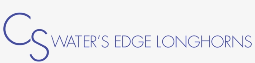 Waters Edge Longhorns Logo - Logo, transparent png download