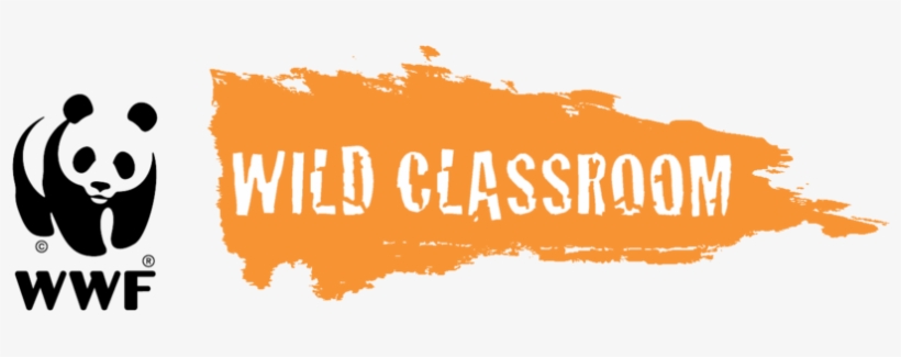 World Wildlife Fund Launches Free Educational Resource - World Wide Fund For Nature Logo Wwf Huge 47x35 Print, transparent png download