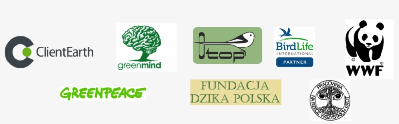 Like This Article - Logo Fundacja Dzika Polska, transparent png download