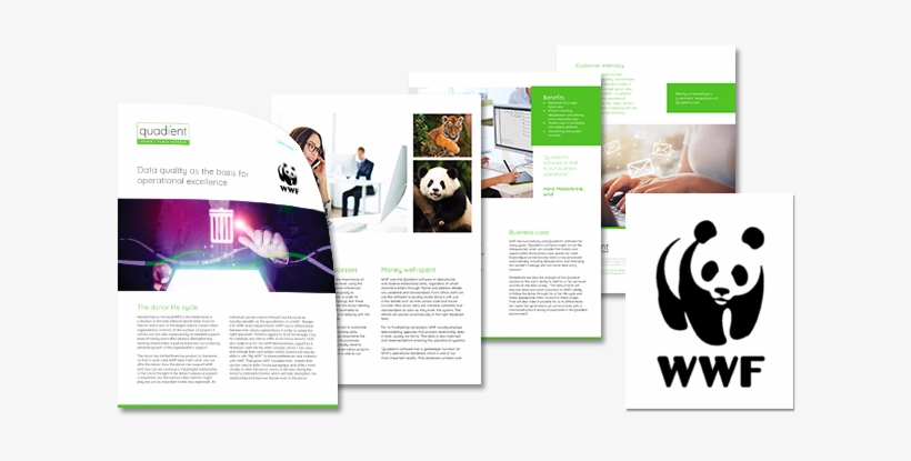 Case Study - Wwf - Promotional Protowels Mid-weight Terry Golf Towel (18, transparent png download
