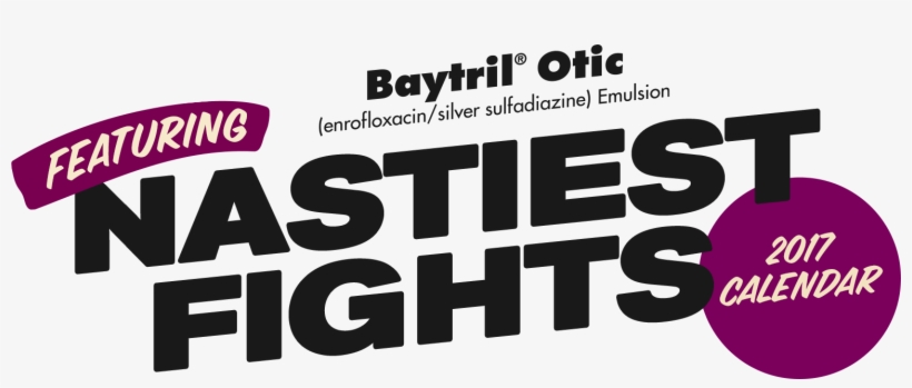 Bayer Nastiest Fights - Customer Satisfaction Cartoon, transparent png download
