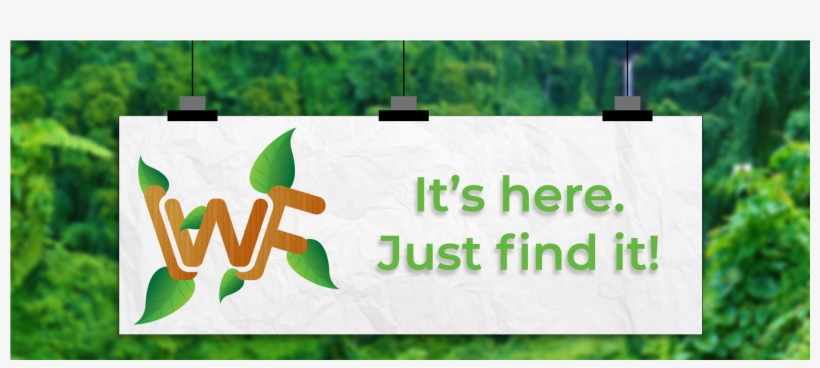 Grass, transparent png download